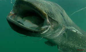 Чернобыль-Припять