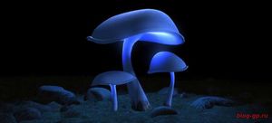 Радиоактивный фотосинтез